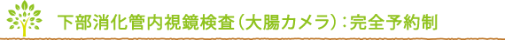 下部消化管内視鏡検査（大腸カメラ）：完全予約制